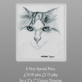 'Quick Draw' Send a Photo. A drawing for £10 pounds.