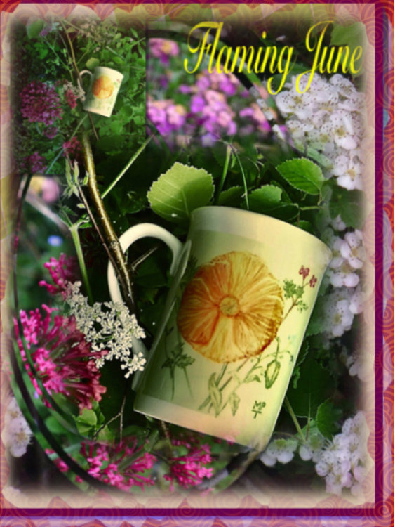 Limited Edition Printed Poppy Mug £7.99 + £5. P&P