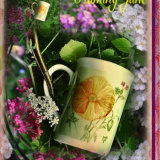 Limited Edition Printed Poppy Mug £7.99 + £5. P&P