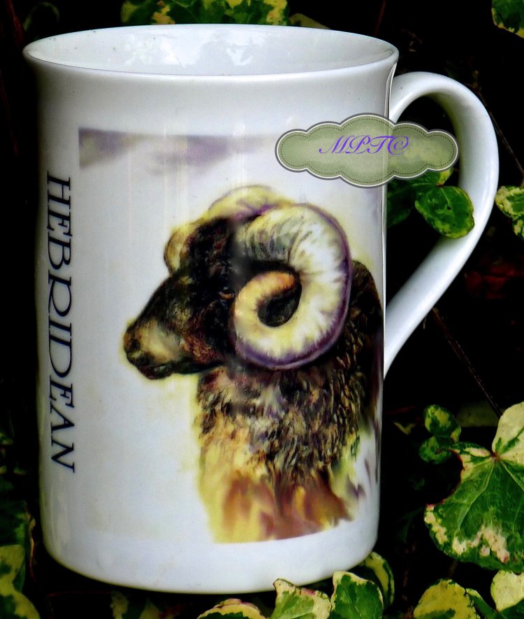 "Hebridean" Printed Mug. Gallery: LimitedEditionPrintedMugsandTiles £7.99 + £5 P&P