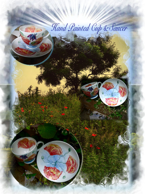 H/P C/S £30 + £5.P&P