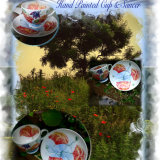 H/P C/S £30 + £5.P&P