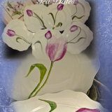 Six Hand Painted Tulips on Fine Bone China Tea Plates Inc P&P £109, 99