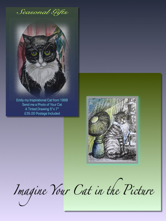 Watercolour Tinted Drawings of Cats