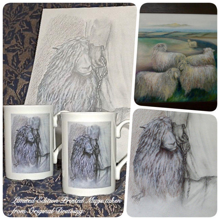 Drawing and Painting Rare Breed Sheep