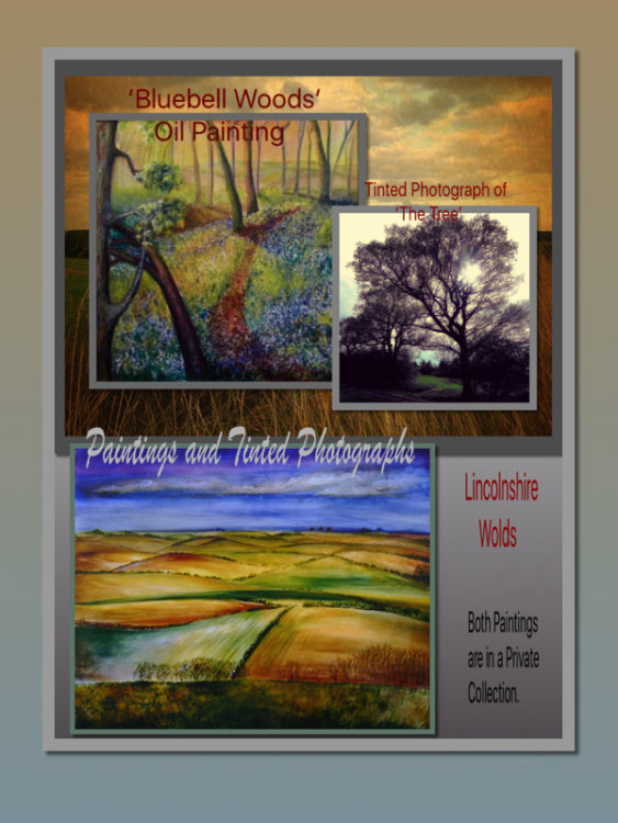 Paintings of Lincolnshire and Tinted Photograph