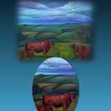 Lincoln Red Cattle Oil Painting N.F.S.