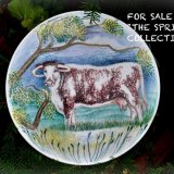 "Longhorn Platter" Unique Hand Painted Platter.