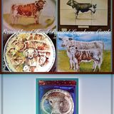 Longhorn Trophy, Plate, Tiles & Trinket Box. Commissions.