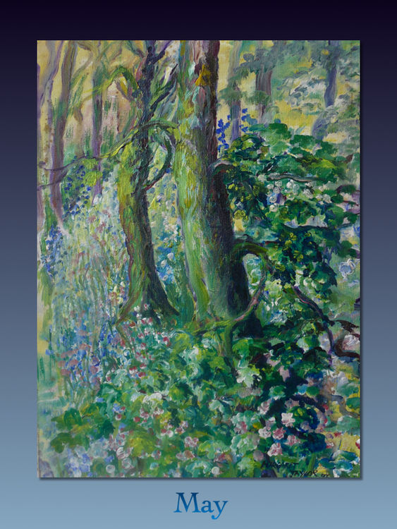 Bluebells and Campion in the Woods.