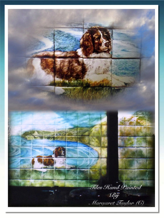 Past Commission of Hand Painted Tile Mural