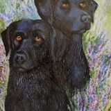 Oil Paintings of Dogs