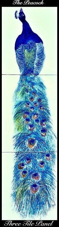 The Peacock Tiles