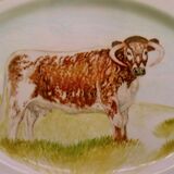 Unique Hand Painted Portrait of Longhorn (Past Commission)