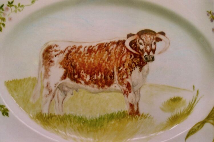 "Longhorn Plate" Unique Hand Painted Plate.