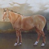 Horse Oil on Canvas