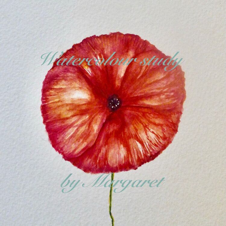 Watercolour Study