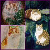 Cat Portraits onto Canvas, China and Pastel Paper