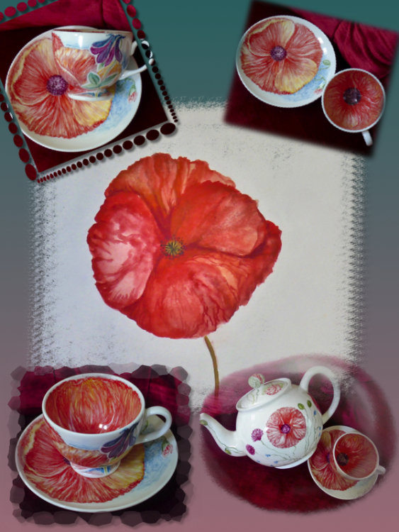1Poppy C/S £35,00 Incl p&p
