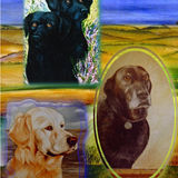 Oil Paintings of Dogs