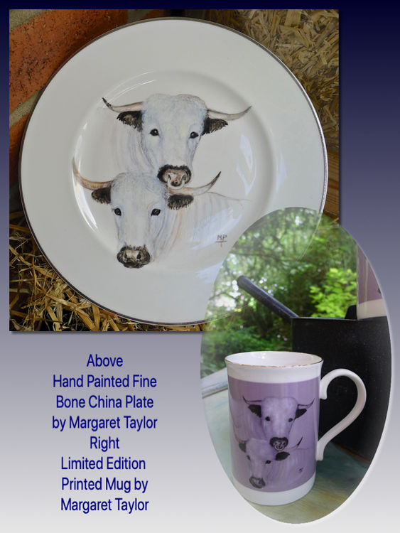 Top. Hand Painted White Park Cattle Plate. Right. Limited Edition Printed Mug. £7.99 each.
