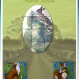 March Hares