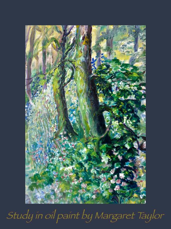 Bluebells and Campion in the Woods.
