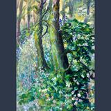 Bluebells and Campion in the Woods.