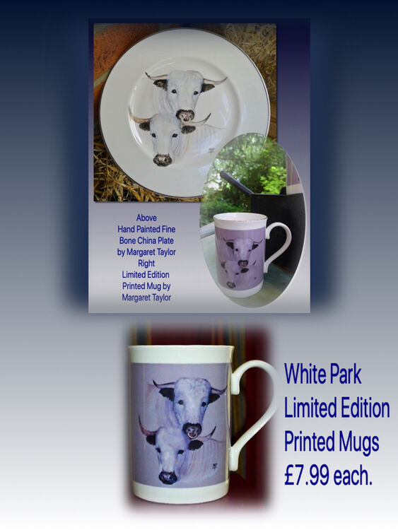 Top. Mug. £7.99 each.