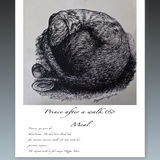 Hand Painted & Limited Edition Printed Fine Bone China