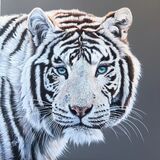 Great White Hunter - SOLD