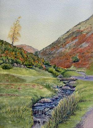 Carding Mill Valley Stream