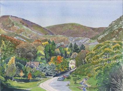 Carding Mill Valley