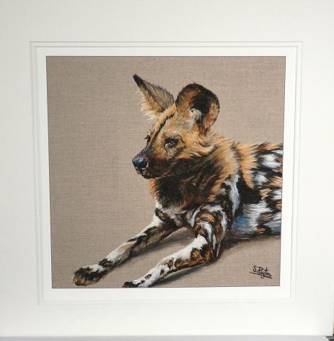 African Wild dog