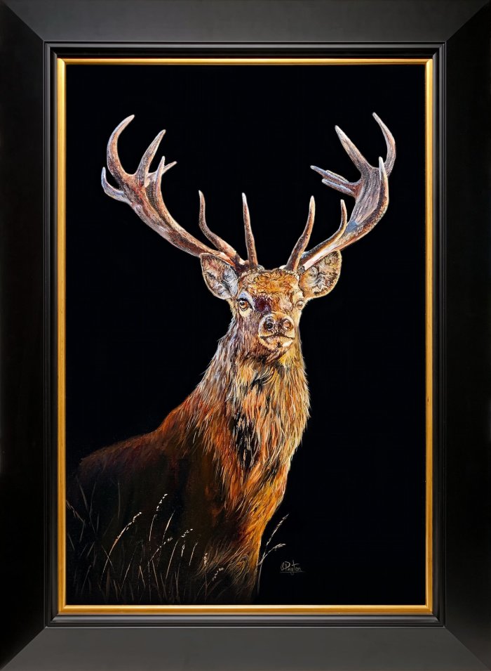 Red deer stag caught in the dawn light
