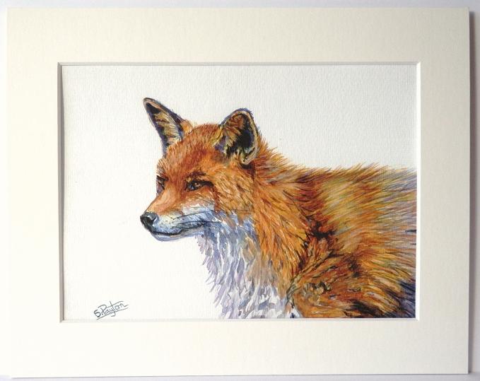 Fox