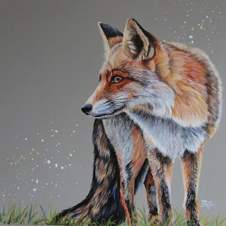 Red Fox - SOLD