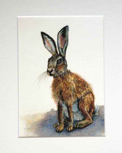 Hare #1