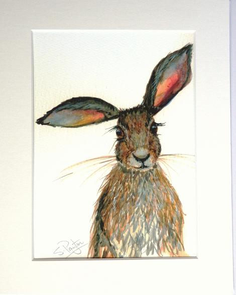 Hare #2