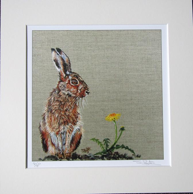 Hare and Dandelion