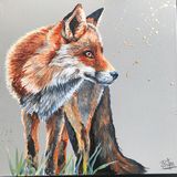 Red Fox