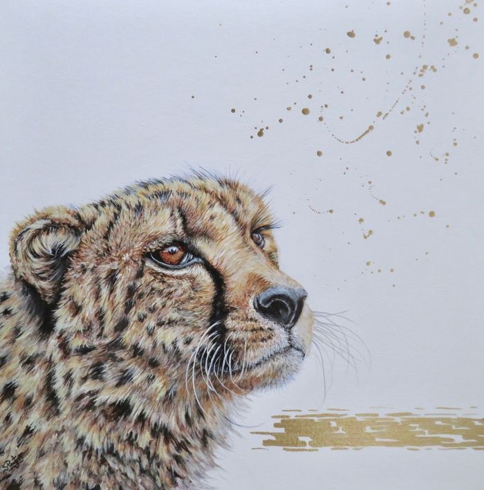 Cheetah