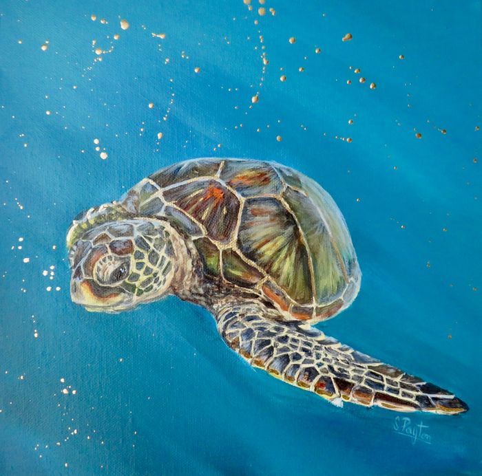 Turtle 2