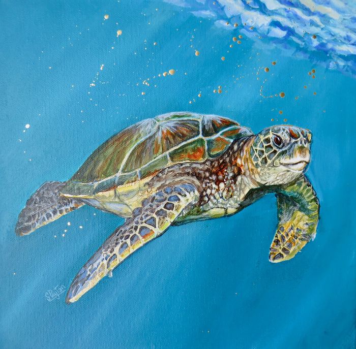 Turtle 1