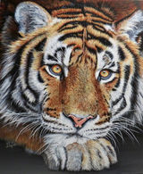 Jupiter - SOLD