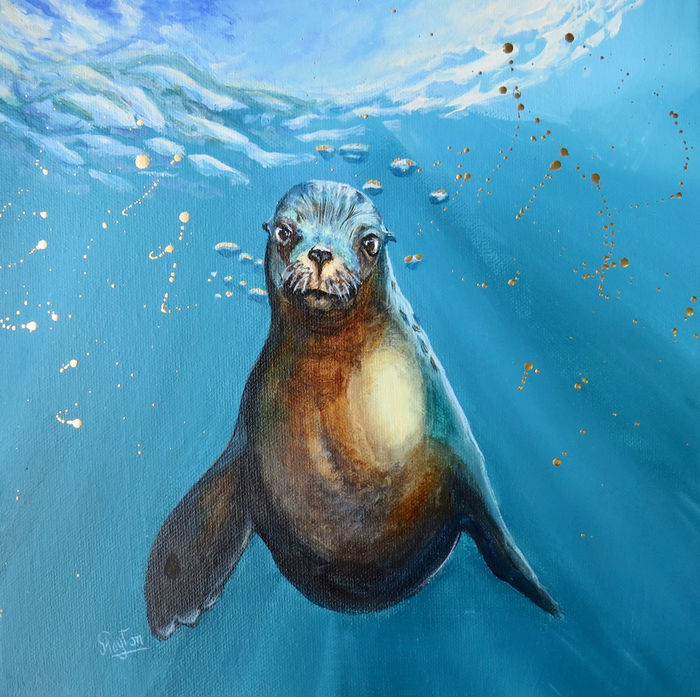 Sea lion