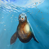 Sea lion