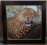 Back Off! Snarling Leopard