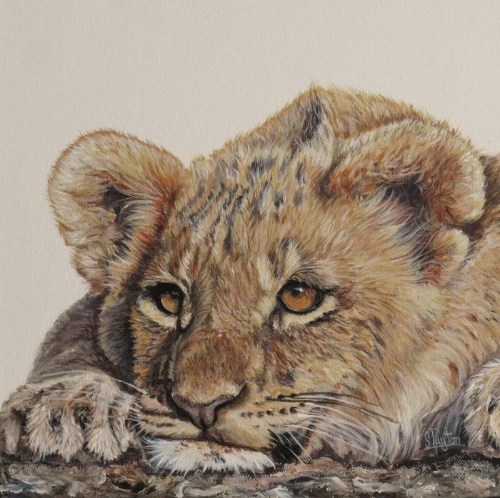 Lion About