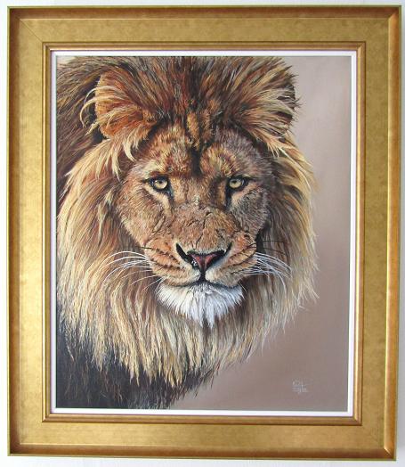 Lion's Stare - SOLD